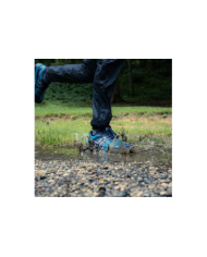 ASCENDO MP+ ASCENDO MP+