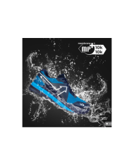 ASCENDO MP+ ASCENDO MP+