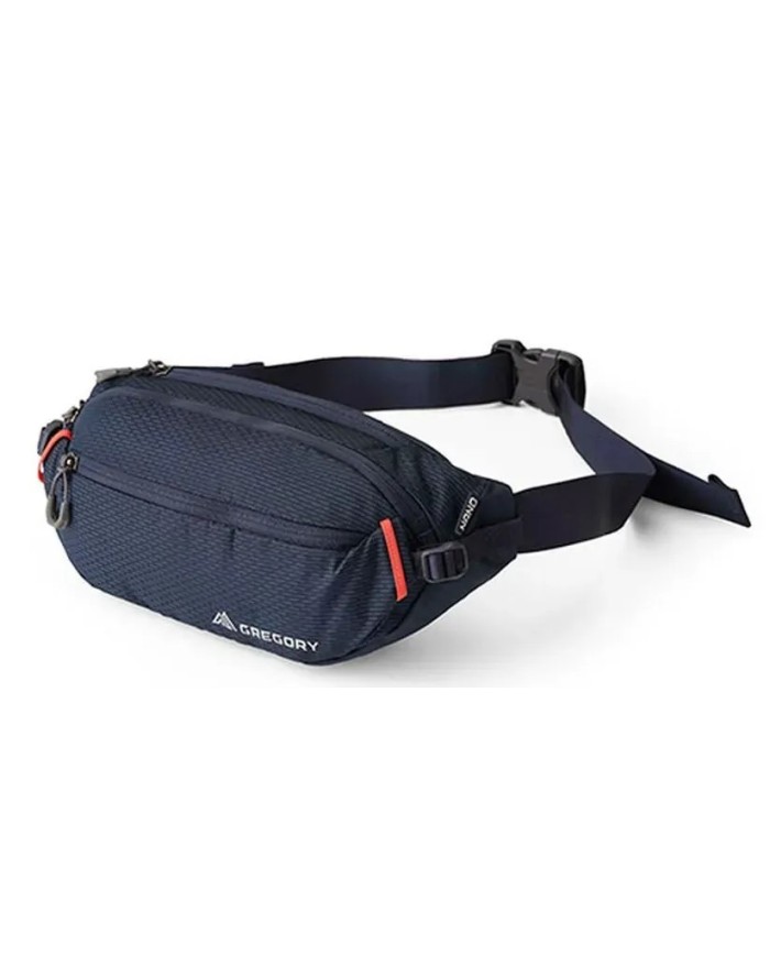 Ledvinka Gregory Nano Waistpack 2.0